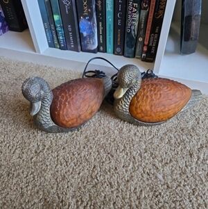Vintagw Bronze And Glass Duck Lamps